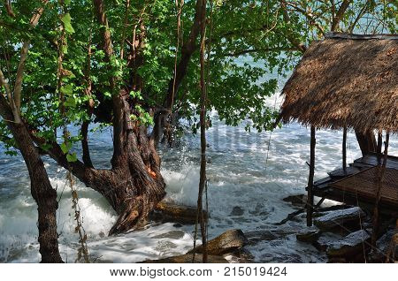 Gazebo on the shore of the Gulf of Siam among the thickets of mangrove trees Koh Samet island Thailand