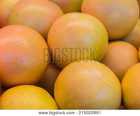 Large fresh yellow and pink grapefruit closeup