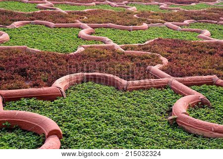 Close-up flowerbeds of Angoori Bagh or Garden of Grapes in Agra fort, India. It's symmetrical garden near Dewan-e-Khaas. It was a private garden for Mughal ladies. Unesco heritage site