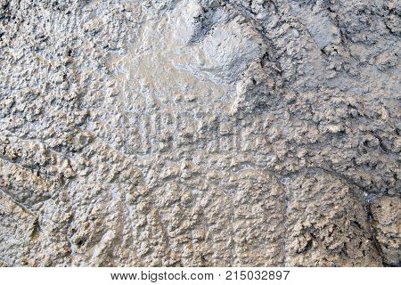Background of the fresh cement solution . Photo of an abstract texture