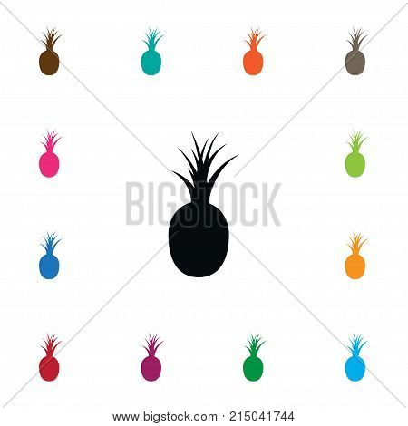 Pine Vector Element Can Be Used For Ananas, Pineapple, Pine Design Concept.  Isolated Bromeliads Icon.