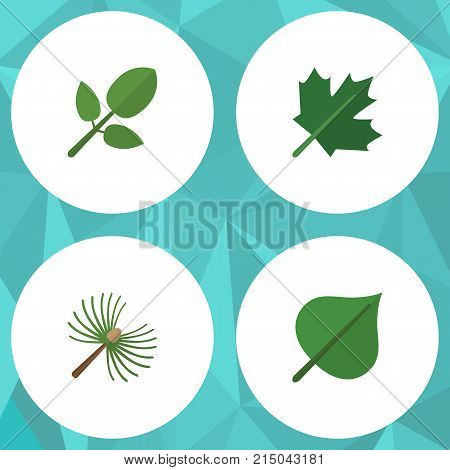 Flat Icon Nature Set Of Oaken, Rosemary, Foliage And Other Vector Objects