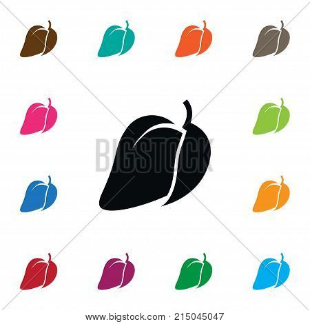 Mango  Vector Element Can Be Used For Fleshy, Mango, Tropical Design Concept.  Isolated Fleshy Icon.