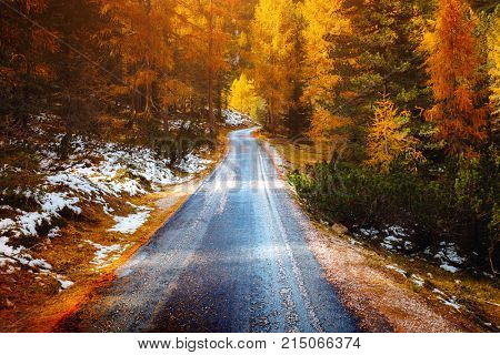 Scenic image of the alpine road. Location famous National Park Tre Cime di Lavaredo, Misurina, Dolomiti alps, South Tyrol, Italy, Europe. Great picture of wild area. Explore the beauty of earth.