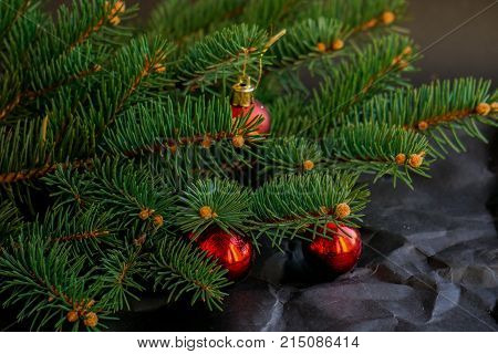 nature tree fir branch with red xmas balls on black crafted crumpled background
