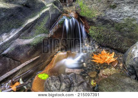 A small creek creates a waterfall into a pool near Bellingham, WA.