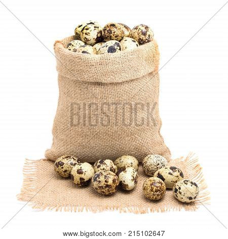 Sack bag with group of quail egg close up on texture sack with frayed edges isolated on white background