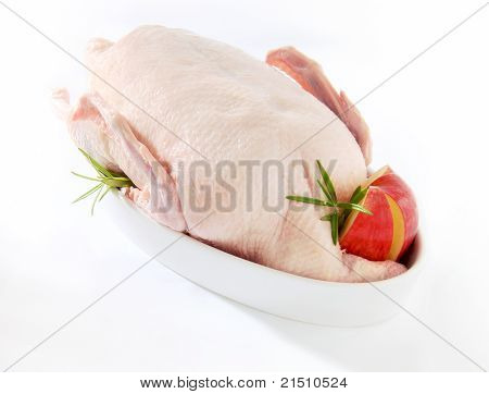 Roh Gans in der Schüssel