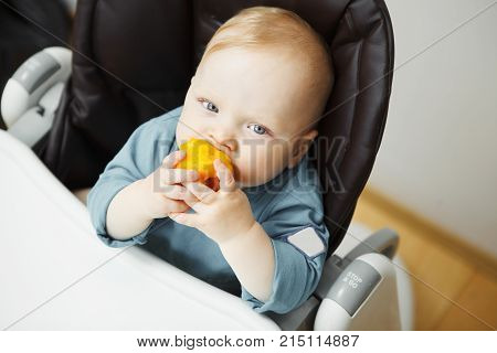 Cute baby with big light eyes, blond hair and plump cheeks sits in highchair for feeding and eats sweet ripe peeled juicy peach with appetite.