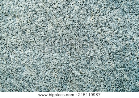 White texture with black dots. The background.