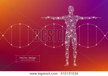 Abstract human body with molecules DNA. Medicine, science and technology concept. Vector illustration.
