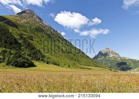 Meadow of Galtur Austria during the spring time