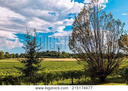 Sunset In The Vineyards Of Friuli Venezia Giulia