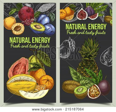 Sign for market with fruits like kiwi and orange, pineapple or ananas and pomegranate, common fig and melon, apricot and plum. Organic and natural food, restaurant or store banner, agriculture theme