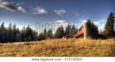 A lone silo on a farm in Bellingham, WA.