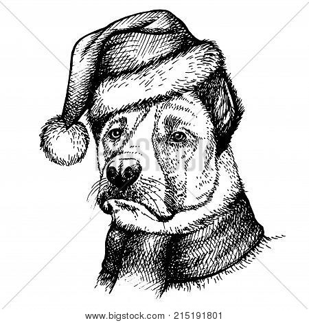 Sketch Dog in Santa Claus hat. Hand drawn Christmas image of dog portrait in Santa`s hat.