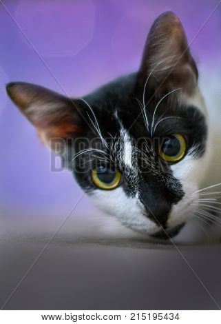 I'm watching you, every move you make and every food you take