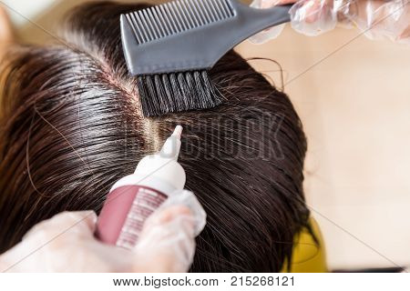 Hair Dresser Applying Chemical Hair Color Dye Onto Hair Roots