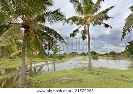 Relaxing at Kakativu Morass Kalpitiya Sri Lanka Asia