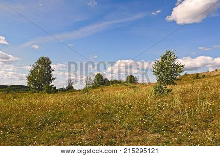 Summer Landscapes