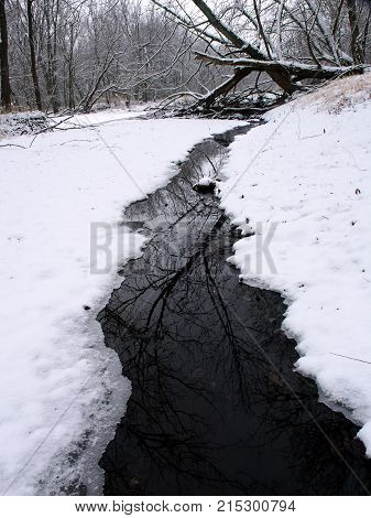 Stream runs through thick snowfall at Lib Conservation Area in northern Illinois
