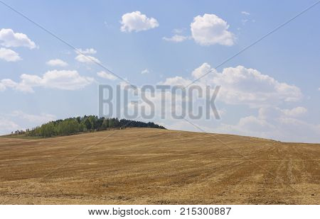 Rolling Farm Hills Of Wheat Crop Fields On Sunny Summer Day