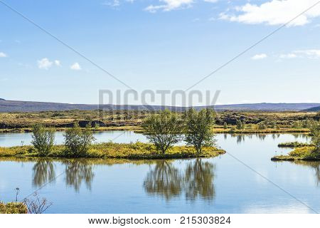 Island In Thingvallavatn Lake In Thingvellir Park