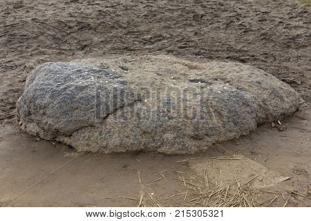 Sacred Stone Near The Blue Lake Plescheevo
