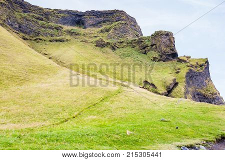 Green Cliff Of Reynisfjall Mount Near Reynisfjara