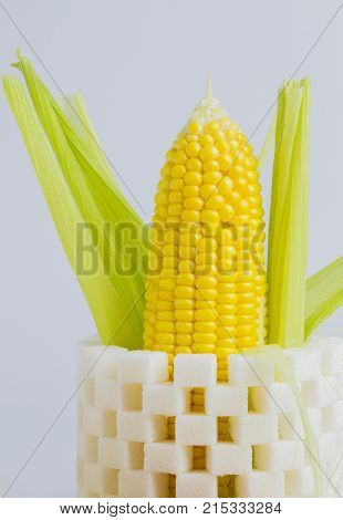 sweet corn, cob of corn in a head of sugar