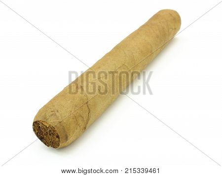 Cuban Cigar