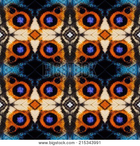 Background Created From Buttterfly Wings