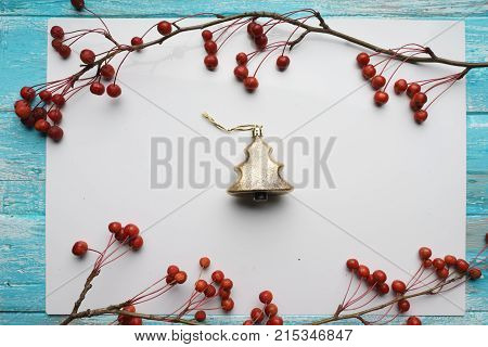White background with branches with small apples,  close-up, Top view