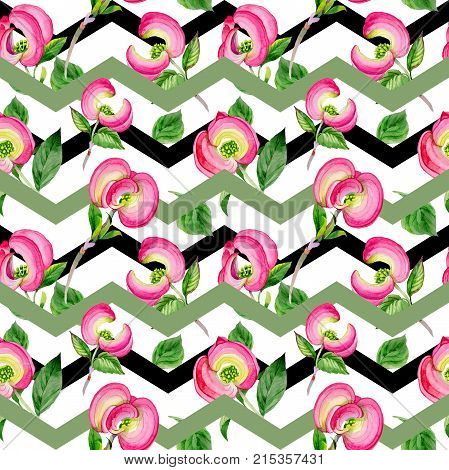 Wildflower cornos Florida flower pattern in a watercolor style. Full name of the plant: cornos. Aquarelle wild flower for background, texture, wrapper pattern, frame or border.