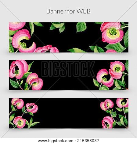 Wildflower cornos Florida flower frame in a watercolor style. Full name of the plant: cornos. Aquarelle wild flower for background, texture, wrapper pattern, frame or border.