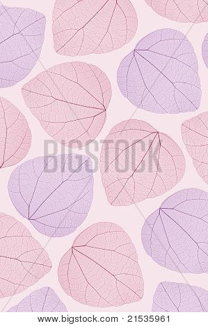 Feuilles transparentes