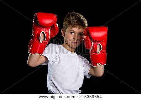 Boxer portrait with hands up in red boxing gloves. The defend position portrait on the black background