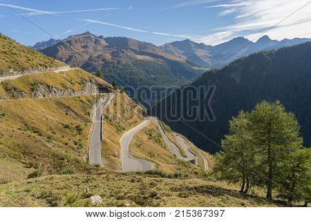 Mountains peaks and trees landscape natural environment. Timmelsjoch High Alpine Road. Passo del Rombo the highest pass of the Eastern Alps. Ötztal valley Tyrol Austria Europe