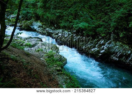 Radovna river in the Vintgar Gorge Podhom near Bled Slovenia