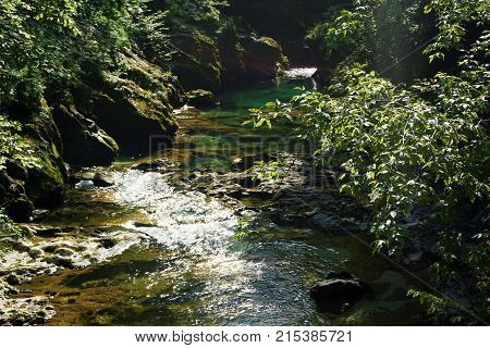Tranquil part of Radovna river in the Vintgar Gorge Slovenia