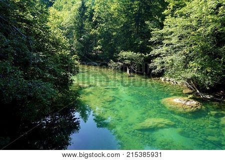 Tranquil and turquois Radovna river near Podhom Slovenia