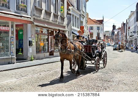 BRUGES BELGIUM - JUNE 10 2017: The horse vehicle on the street of Bruges. The tourist downtown horse crew for walks and excursions of tourists goes on the ancient street with stone blocks