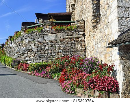 Wall and flowers in Landskron Austria in summer time