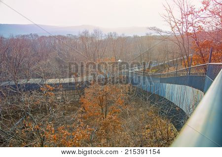 autumn forest, Safari Park, it highest bridge to walking people. Russia. Primorskiy Kray
