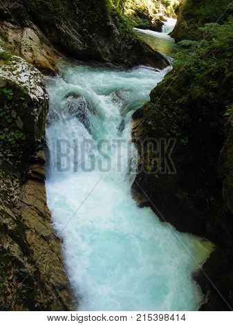 Wild part of Radovla river in the Vintgar Gorge near Bled Slovenia