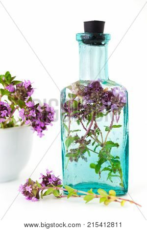 Vintage Bottle Of Thyme Infusion And Mortar Full Of Thymus Serpyllum Flowers On White Background. He