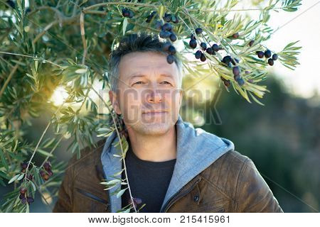 Handsome man posing in olive trees garden. Male portrain over mediterranean olive field ready for harvest. Confident mature man in spanish olive's grove with ripe fresh olives.