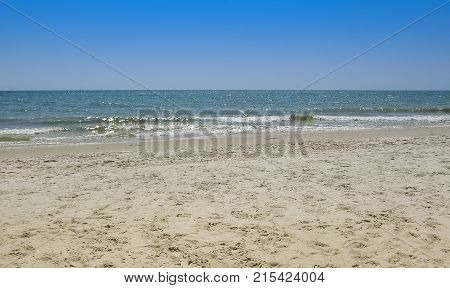 Seagull flying over the coastline of the island Dzharylgach. Black Sea. Ukraine.
