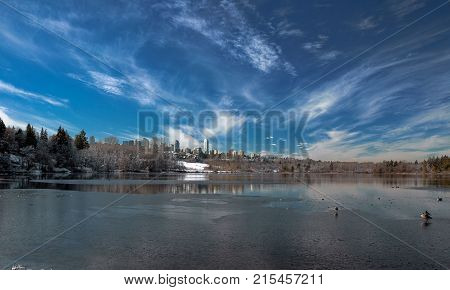Winter landscape on the Deer Lake, snow-covered trees and shrubs on the lake shore against a beautiful blue sky with white clouds and of Burnaby City.