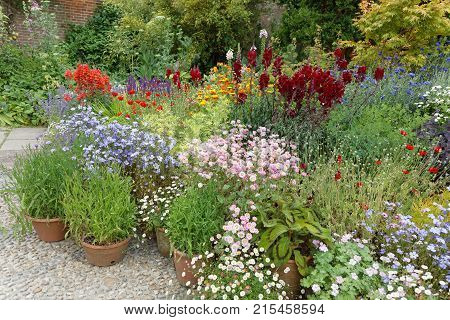 Many flowers in different colors in crocks